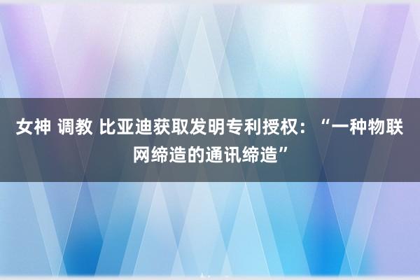 女神 调教 比亚迪获取发明专利授权：“一种物联网缔造的通讯缔造”