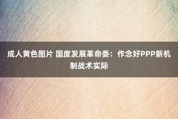 成人黄色图片 国度发展革命委：作念好PPP新机制战术实际