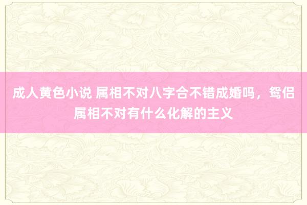 成人黄色小说 属相不对八字合不错成婚吗，鸳侣属相不对有什么化解的主义
