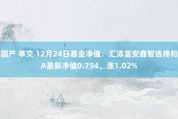 国产 拳交 12月24日基金净值：汇添富安鑫智选搀和A最新净值0.794，涨1.02%