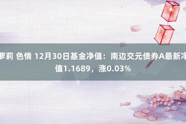 萝莉 色情 12月30日基金净值：南边交元债券A最新净值1.1689，涨0.03%