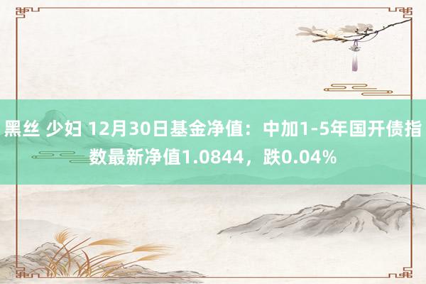 黑丝 少妇 12月30日基金净值：中加1-5年国开债指数最新净值1.0844，跌0.04%