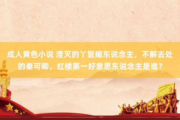成人黄色小说 湮灭的丫鬟媚东说念主，不解去处的秦可卿，红楼第一好意思东说念主是谁？
