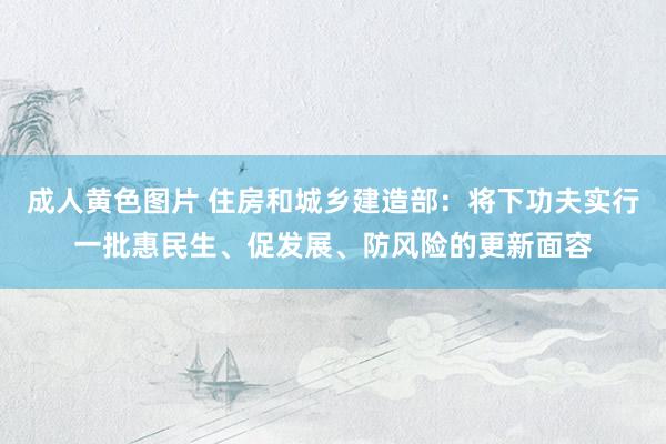 成人黄色图片 住房和城乡建造部：将下功夫实行一批惠民生、促发展、防风险的更新面容