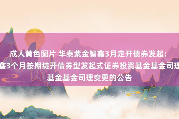 成人黄色图片 华泰紫金智鑫3月定开债券发起: 华泰紫金智鑫3个月按期绽开债券型发起式证券投资基金基金司理变更的公告