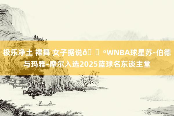 极乐净土 裸舞 女子据说🌺WNBA球星苏-伯德与玛雅-摩尔入选2025篮球名东谈主堂