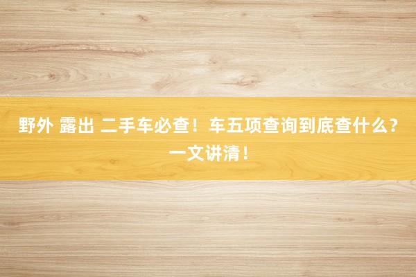 野外 露出 二手车必查！车五项查询到底查什么？一文讲清！