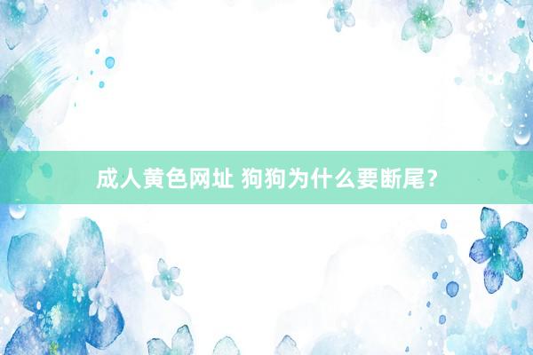 成人黄色网址 狗狗为什么要断尾？