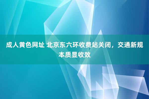 成人黄色网址 北京东六环收费站关闭，交通新规本质显收效